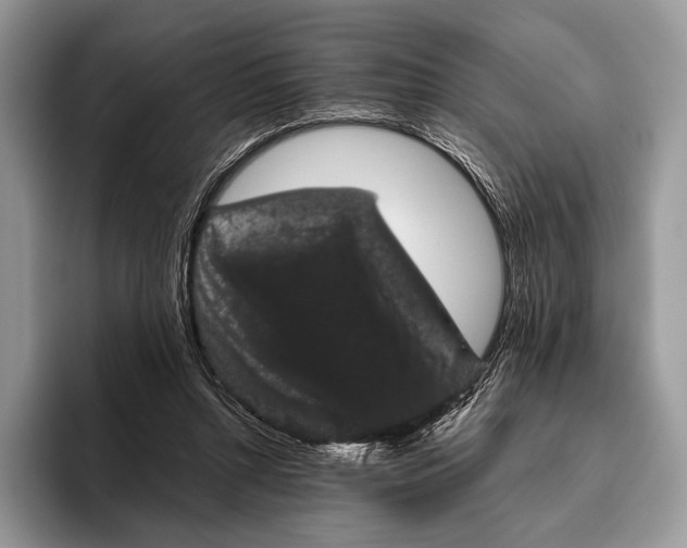 X0000095930352200802011025