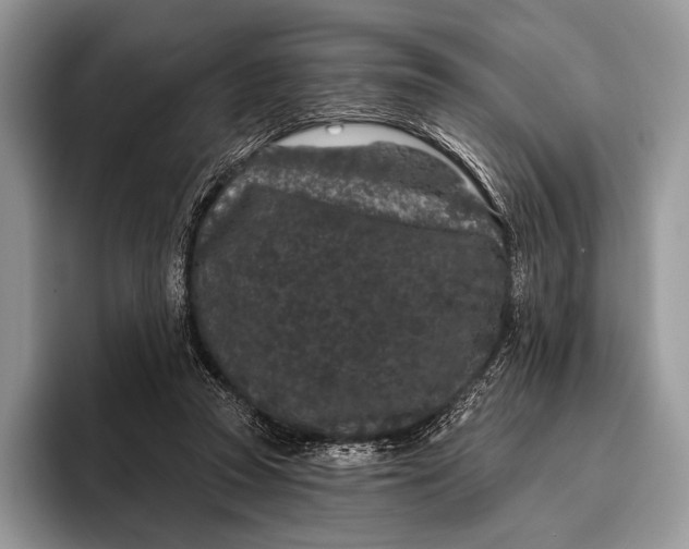 X0000095930353200802011026