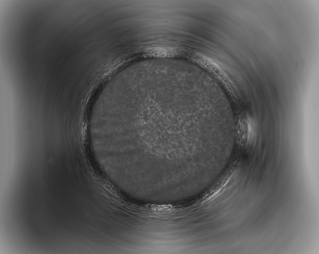 X0000095930355200802011026