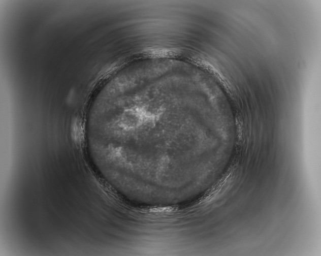 X0000095930357200802011026