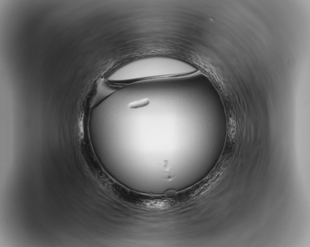 X0000095930358200802011026