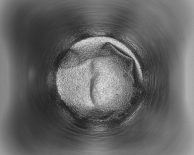 X0000095930359200802011026