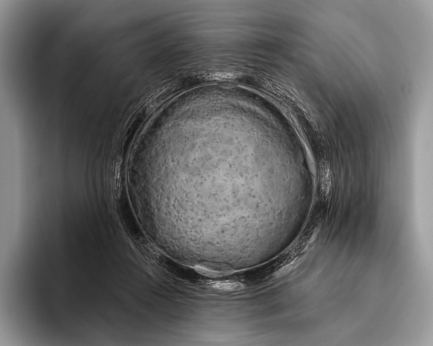 X0000095930360200802011026