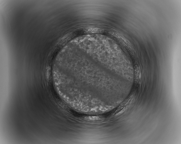 X0000095930361200802011026