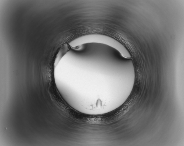 X0000095930362200802011026