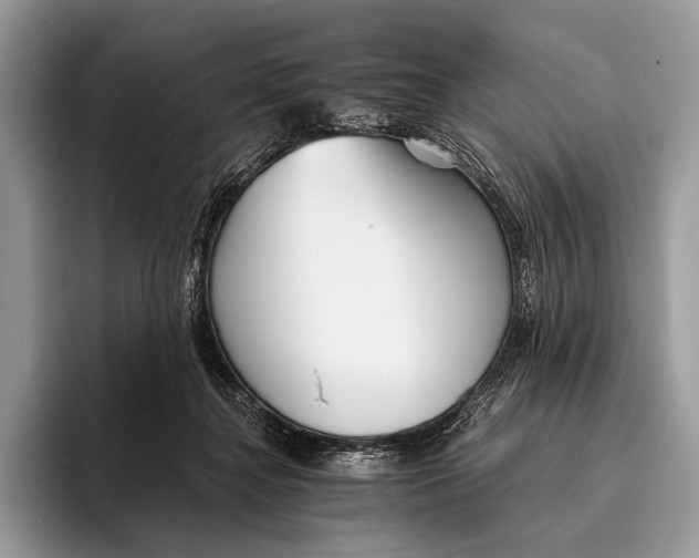 X0000095930364200802011026