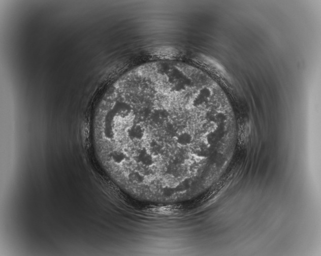 X0000095930365200802011026