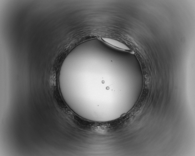 X0000095930368200802011026