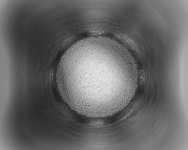 X0000095930369200802011026