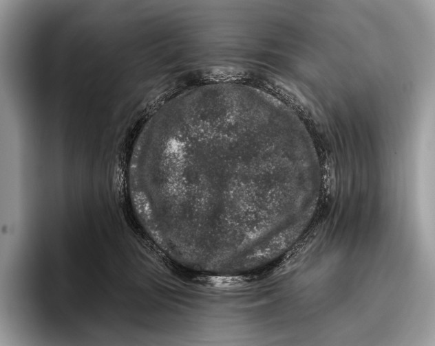 X0000095930371200802011026
