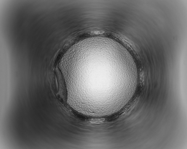 X0000095930373200802011026