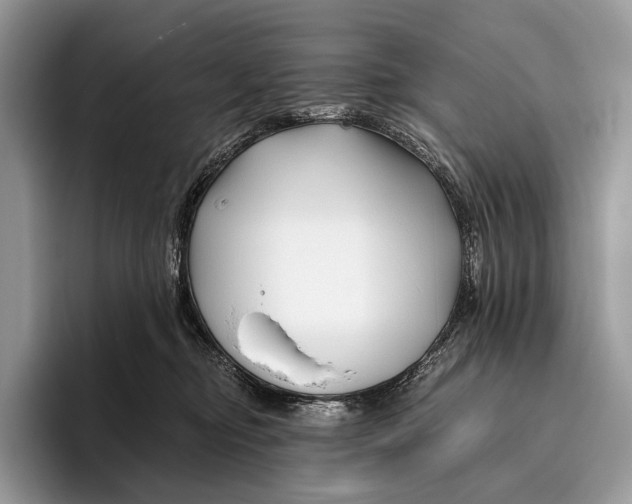 X0000095930374200802011026