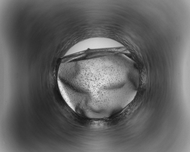 X0000095930376200802011026