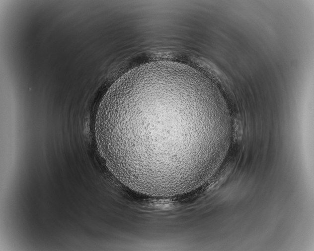 X0000095930377200802011026