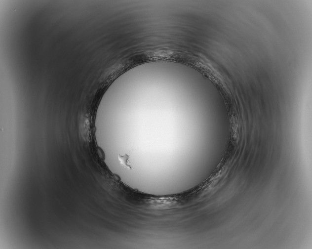 X0000095930378200802011026