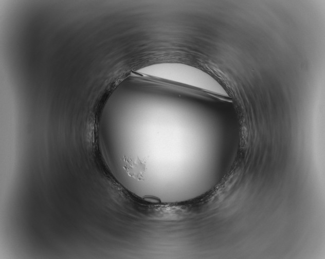X0000095930379200802011026
