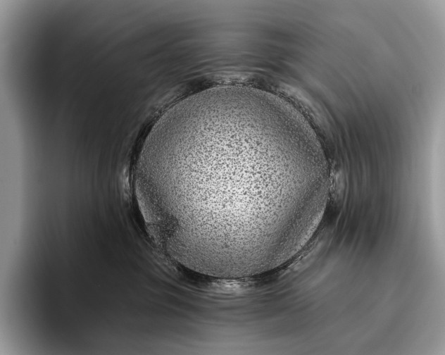 X0000095930381200802011026