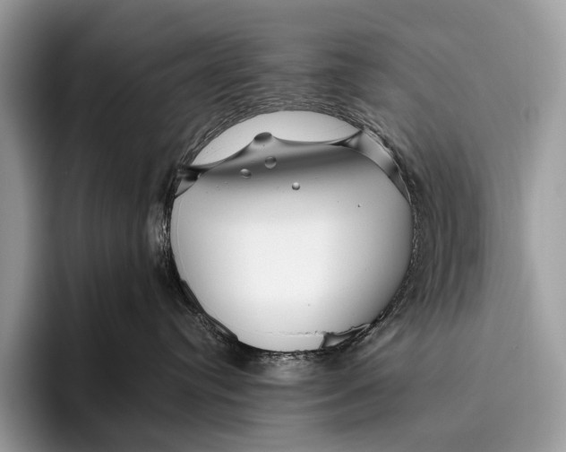 X0000095930384200802011026