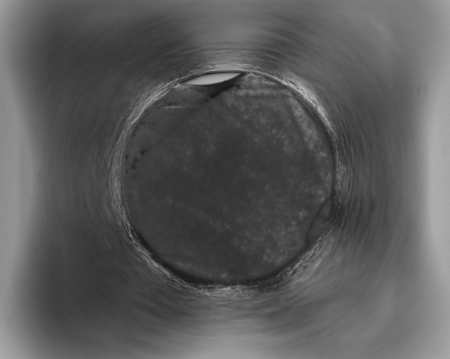 X0000095930385200802011025
