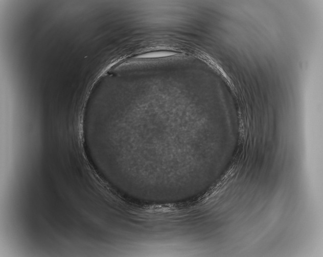 X0000095930386200802011025