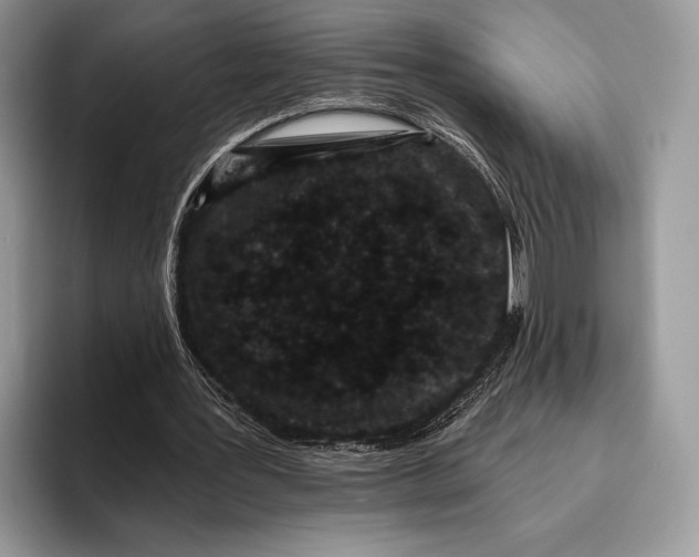 X0000095930387200802011025