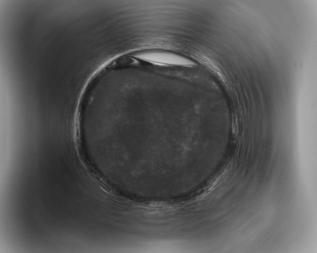 X0000095930388200802011025