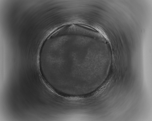 X0000095930389200802011025