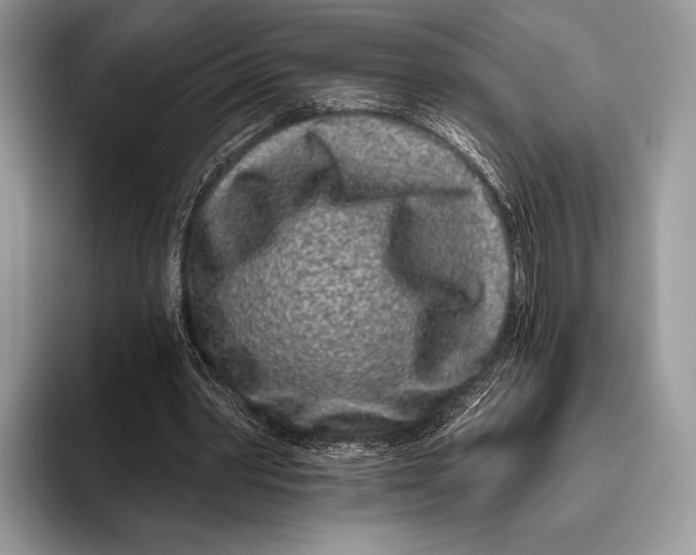 X0000095930390200802011025