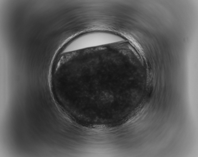 X0000095930391200802011025