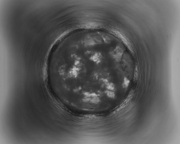 X0000095930392200802011025
