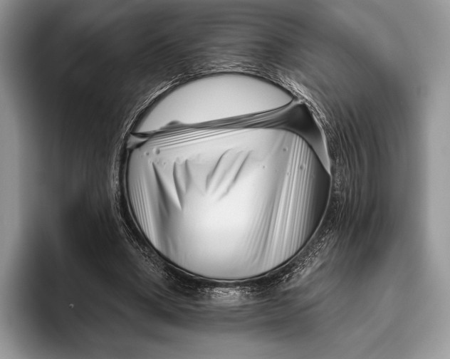 X0000095930394200802011025