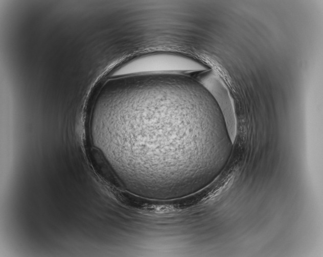 X0000095930395200802011025