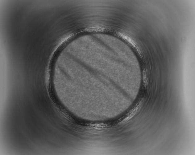 X0000095930396200802011025
