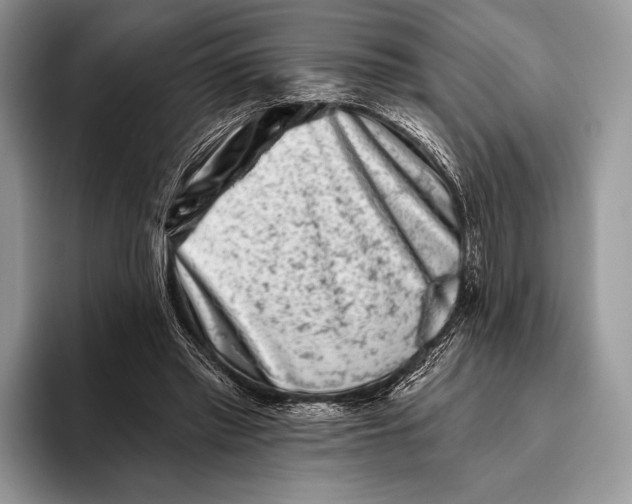 X0000095930397200802011025