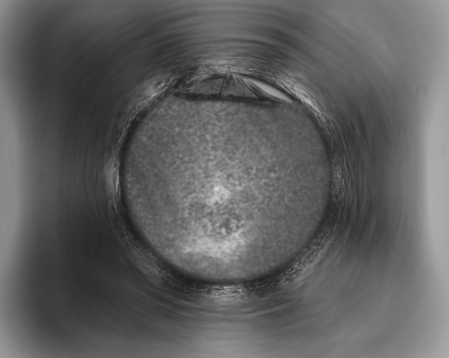 X0000095930398200802011025