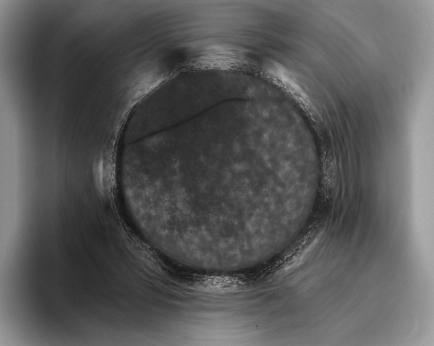 X0000095930399200802011025