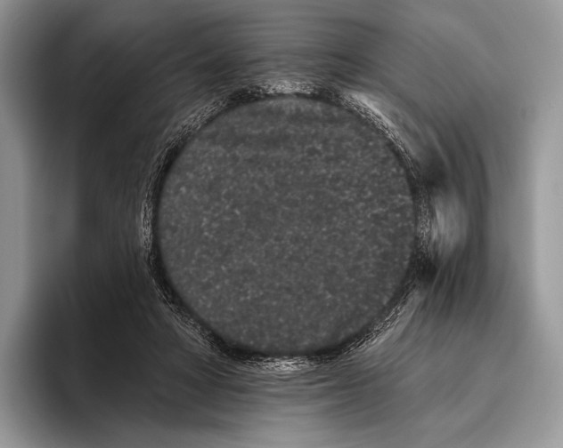 X0000095930402200802011025