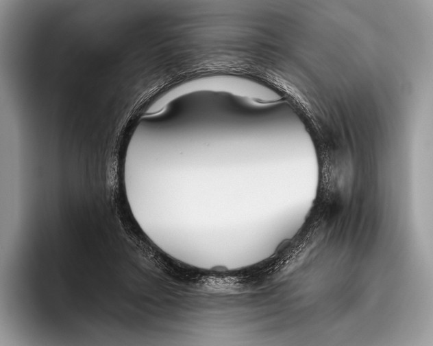 X0000095930403200802011025