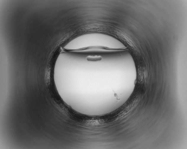 X0000095930404200802011025
