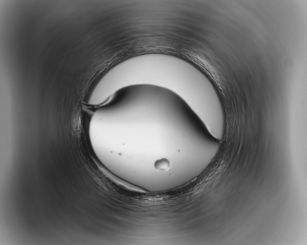X0000095930405200802011025