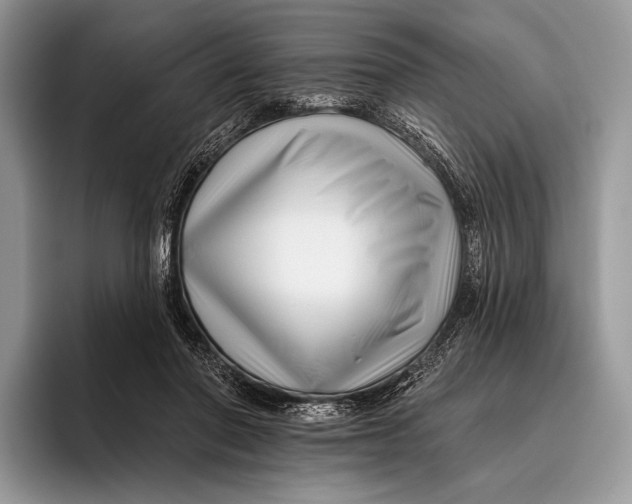 X0000095930406200802011025