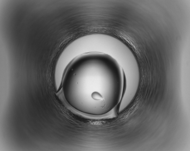 X0000095930407200802011025