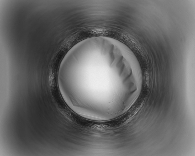 X0000095930408200802011025