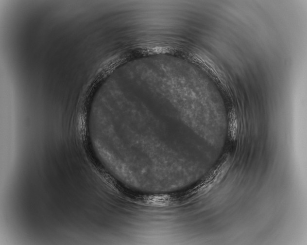 X0000095930410200802011025