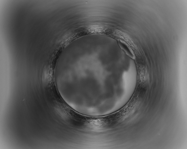 X0000095930411200802011025