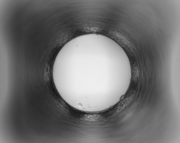 X0000095930414200802011025
