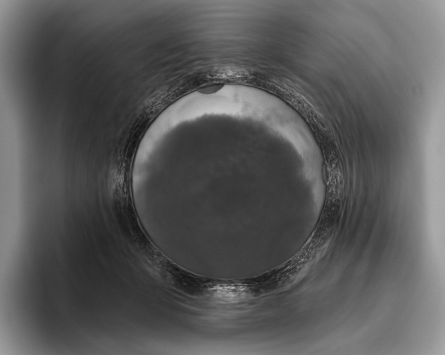 X0000095930415200802011025
