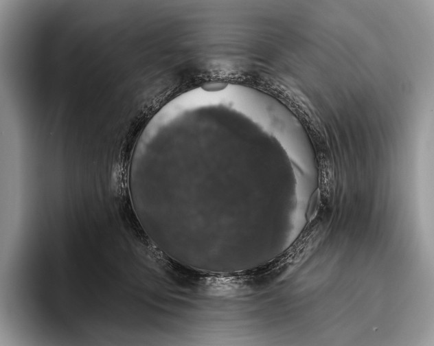 X0000095930419200802011025