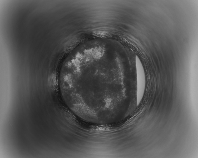 X0000095930420200802011025