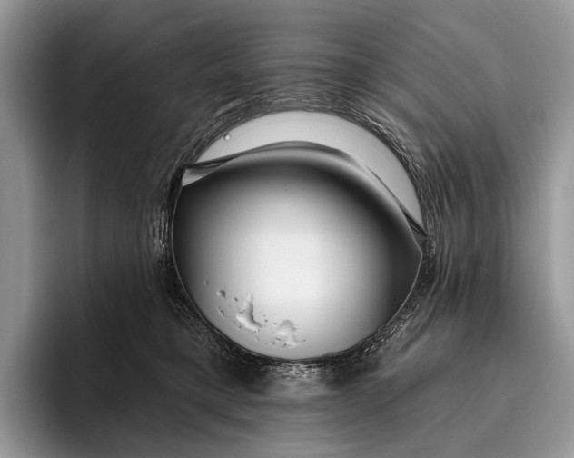 X0000095930421200802011025